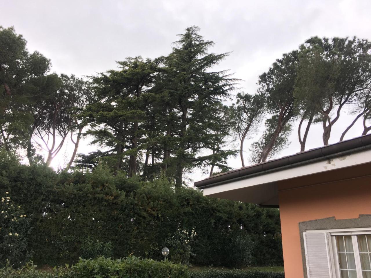VillaGiò B&B Frascati Exterior foto